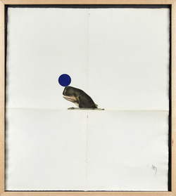 A whale balances a blue ball on its nose.